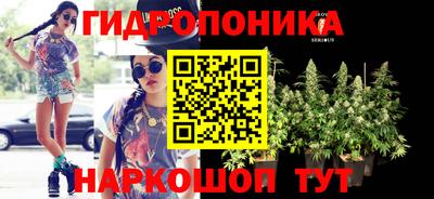 ПСИЛОЦИБИНОВЫЕ ГРИБЫ Аша