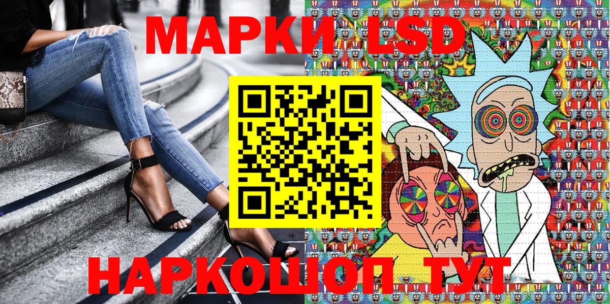Псилоцибиновые грибы Грязи
