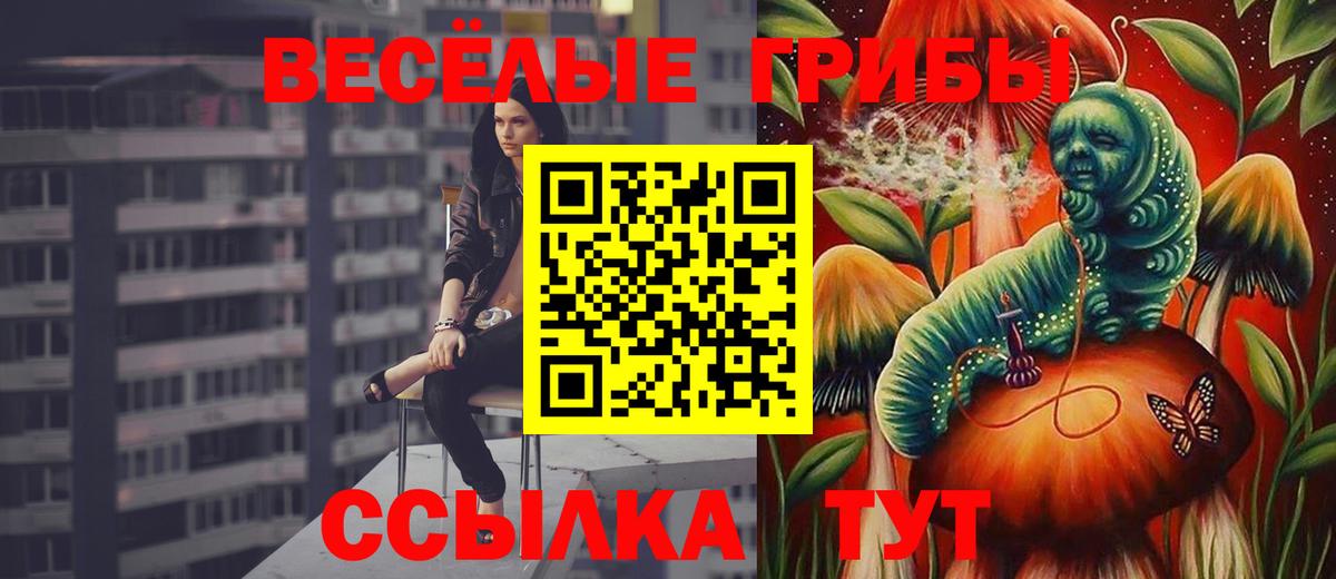 Псилоцибиновые грибы Psilocybine cubensis  продажа наркотиков  Псилоцибиновые грибы ЛСД  Грязи  Вход с VPN 